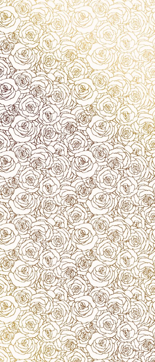 Roses Contour