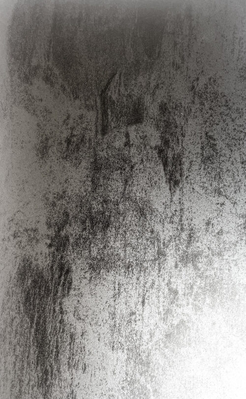 Tektonica